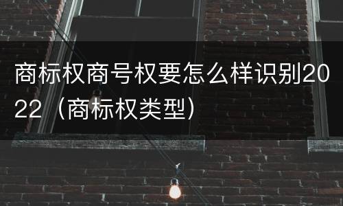 商标权商号权要怎么样识别2022（商标权类型）