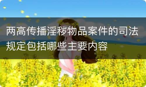 两高传播淫秽物品案件的司法规定包括哪些主要内容