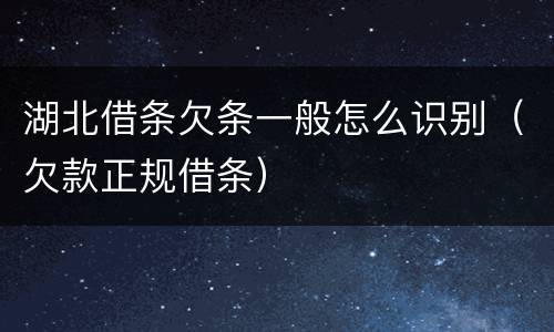 湖北借条欠条一般怎么识别（欠款正规借条）