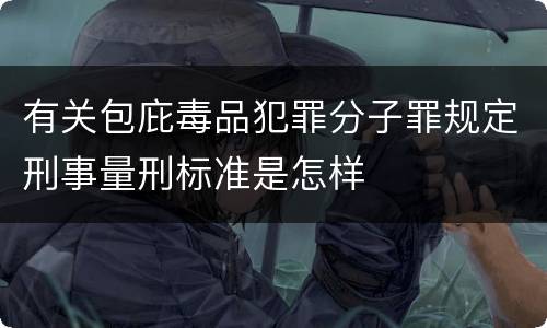 有关包庇毒品犯罪分子罪规定刑事量刑标准是怎样