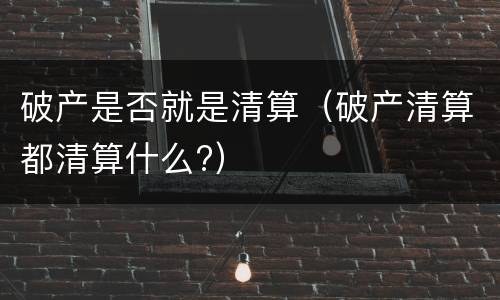 破产是否就是清算（破产清算都清算什么?）