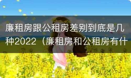 廉租房跟公租房差别到底是几种2022（廉租房和公租房有什么差别）