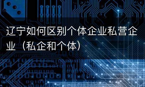 辽宁如何区别个体企业私营企业（私企和个体）