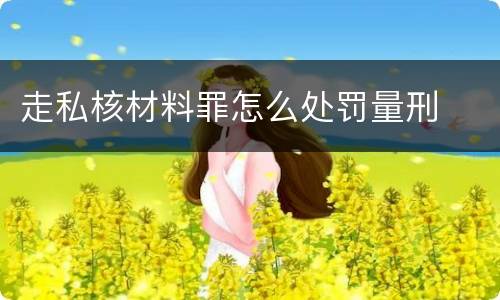 走私核材料罪怎么处罚量刑