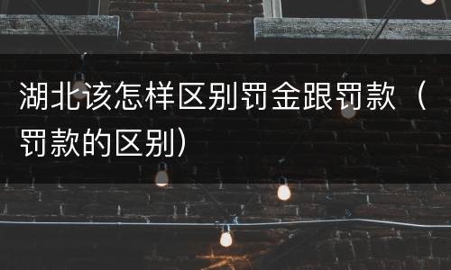 湖北该怎样区别罚金跟罚款（罚款的区别）