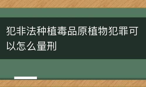 犯非法种植毒品原植物犯罪可以怎么量刑