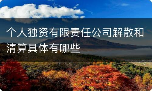 个人独资有限责任公司解散和清算具体有哪些