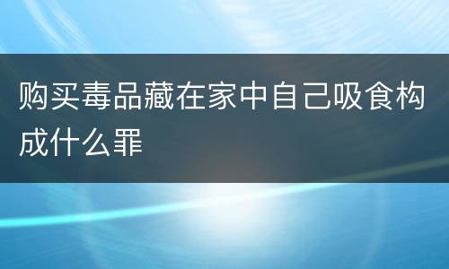 购买毒品藏在家中自己吸食构成什么罪