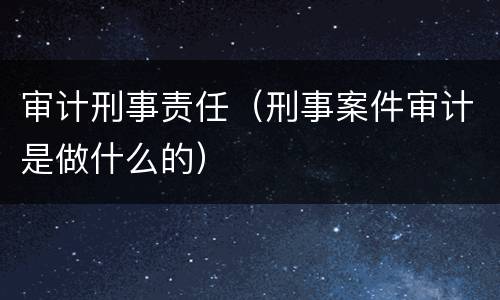 审计刑事责任（刑事案件审计是做什么的）