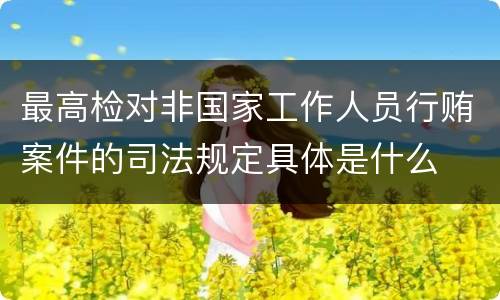 最高检对非国家工作人员行贿案件的司法规定具体是什么