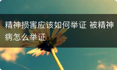 精神损害应该如何举证 被精神病怎么举证