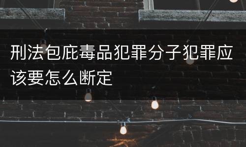 刑法包庇毒品犯罪分子犯罪应该要怎么断定