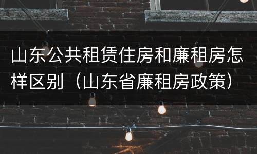 山东公共租赁住房和廉租房怎样区别（山东省廉租房政策）