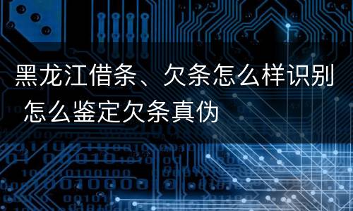 黑龙江借条、欠条怎么样识别 怎么鉴定欠条真伪