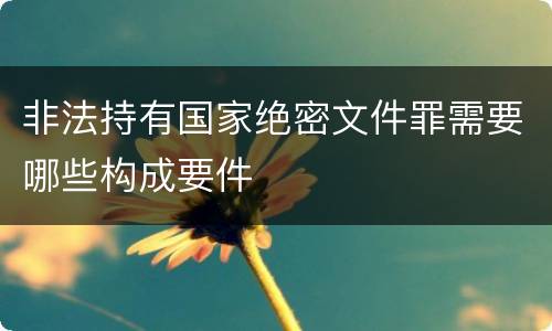 非法持有国家绝密文件罪需要哪些构成要件