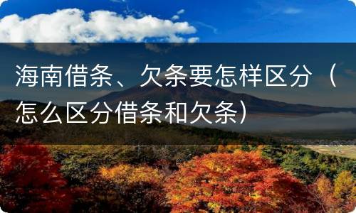 海南借条、欠条要怎样区分（怎么区分借条和欠条）