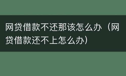 网贷借款不还那该怎么办（网贷借款还不上怎么办）