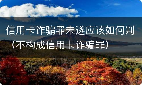 信用卡诈骗罪未遂应该如何判（不构成信用卡诈骗罪）