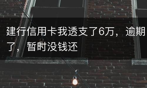 建行信用卡我透支了6万，逾期了，暂时没钱还