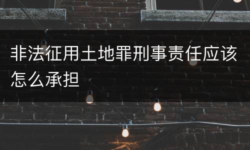 非法征用土地罪刑事责任应该怎么承担