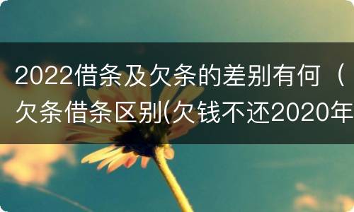 2022借条及欠条的差别有何（欠条借条区别(欠钱不还2020年新规 - 法律之家）
