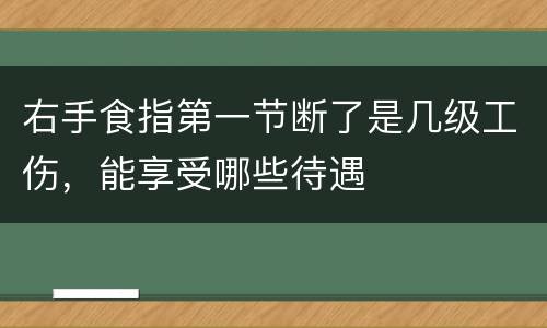 右手食指第一节断了是几级工伤，能享受哪些待遇