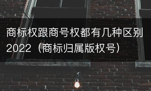 商标权跟商号权都有几种区别2022（商标归属版权号）