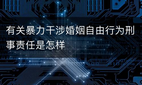 有关暴力干涉婚姻自由行为刑事责任是怎样