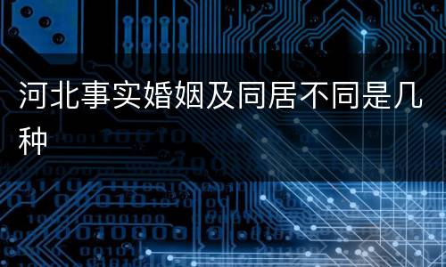 河北事实婚姻及同居不同是几种