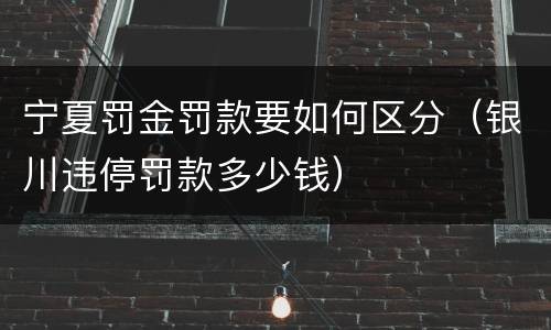 宁夏罚金罚款要如何区分（银川违停罚款多少钱）