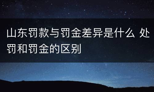 山东罚款与罚金差异是什么 处罚和罚金的区别