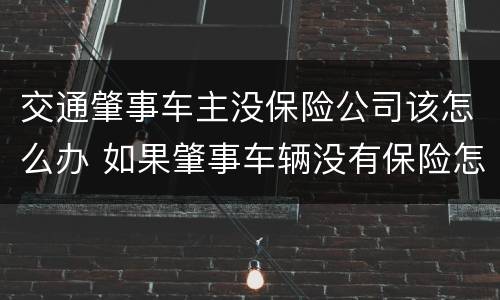 交通肇事车主没保险公司该怎么办 如果肇事车辆没有保险怎么办