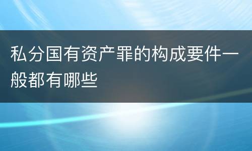 私分国有资产罪的构成要件一般都有哪些
