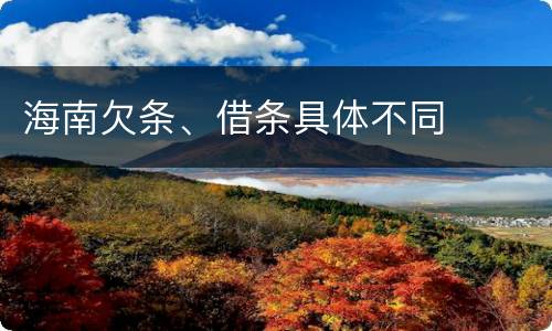 海南欠条、借条具体不同