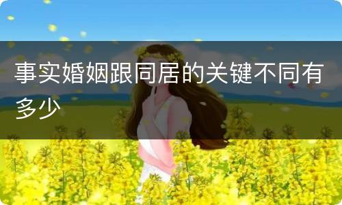 事实婚姻跟同居的关键不同有多少