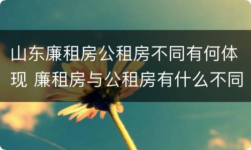 山东廉租房公租房不同有何体现 廉租房与公租房有什么不同