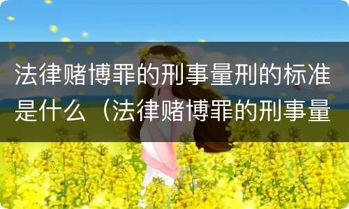 法律赌博罪的刑事量刑的标准是什么（法律赌博罪的刑事量刑的标准是什么呢）