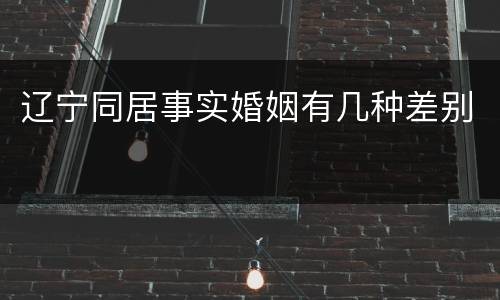 辽宁同居事实婚姻有几种差别