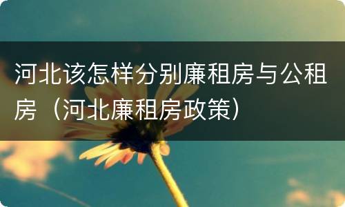 河北该怎样分别廉租房与公租房（河北廉租房政策）