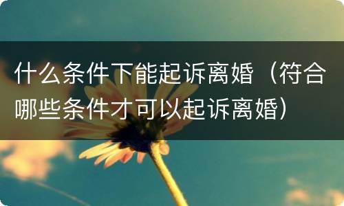 什么条件下能起诉离婚（符合哪些条件才可以起诉离婚）