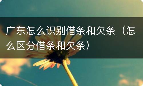 广东怎么识别借条和欠条（怎么区分借条和欠条）