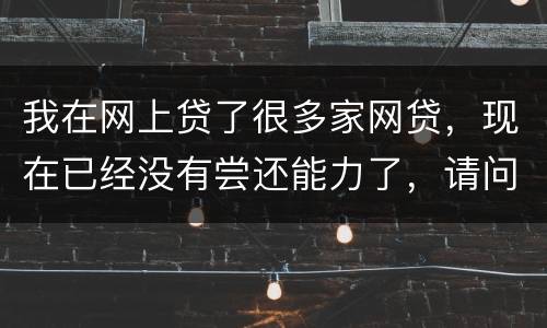 我在网上贷了很多家网贷，现在已经没有尝还能力了，请问我该怎么办，会被坐牢吗