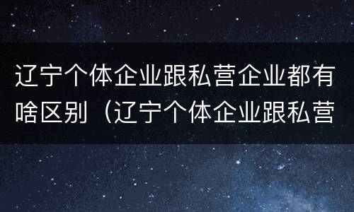 辽宁个体企业跟私营企业都有啥区别（辽宁个体企业跟私营企业都有啥区别呢）