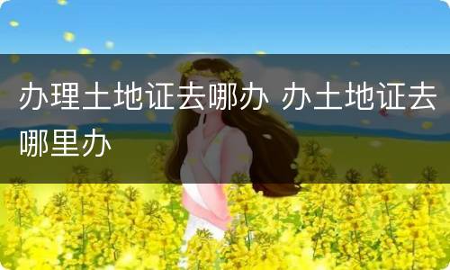 办理土地证去哪办 办土地证去哪里办