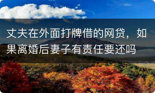 丈夫在外面打牌借的网贷，如果离婚后妻子有责任要还吗