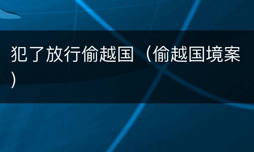 犯了放行偷越国（偷越国境案）