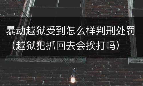 暴动越狱受到怎么样判刑处罚（越狱犯抓回去会挨打吗）