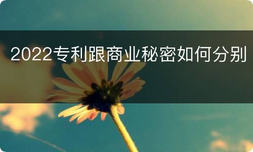 2022专利跟商业秘密如何分别