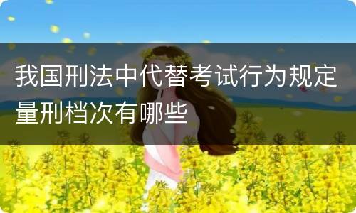 我国刑法中代替考试行为规定量刑档次有哪些