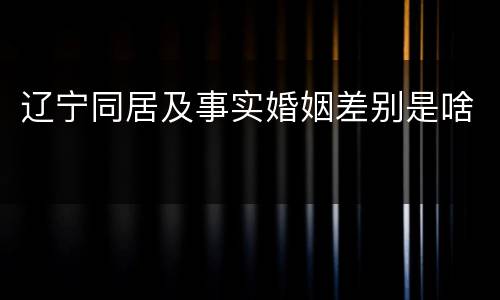 辽宁同居及事实婚姻差别是啥
